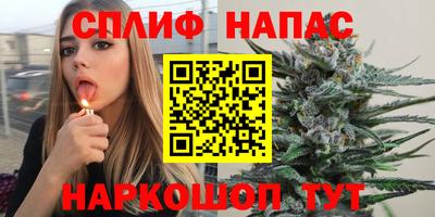 apvp Пугачёв