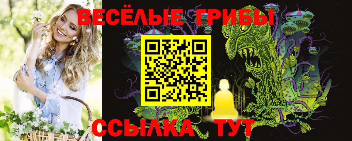 Псилоцибиновые грибы мицелий  Вход с VPN  дарнет шоп  Печора 
