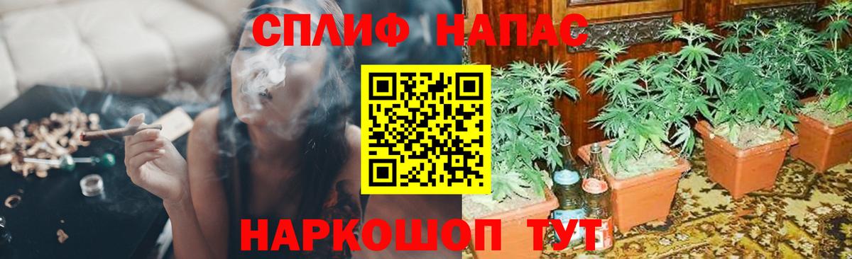Печора  Шишки марихуана семена  Бошки Шишки сатива  МАРИХУАНА планчик  Шишки марихуана LSD WEED  Вход с VPN 